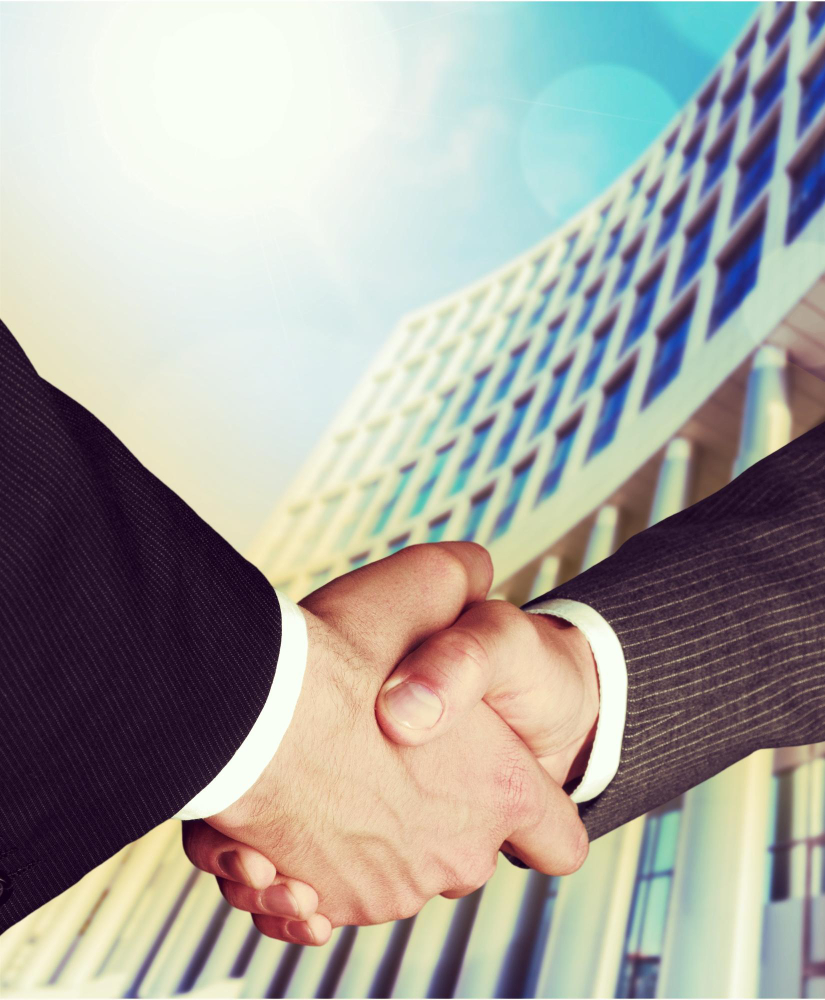 Business professional presenting financial strategy